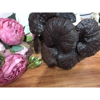 100gr nấm Linh Chi rừng