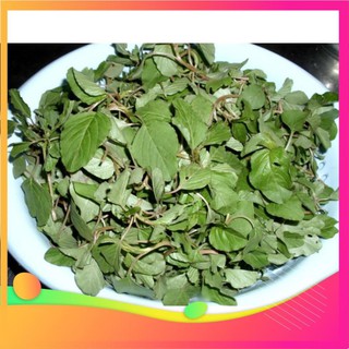 Gói 10gr hạt giống rau dền cơm UY TÍN, GIÁ RẺ, CHẤT LƯỢNG BÀ CON AN TÂM ƯƠM MẦM