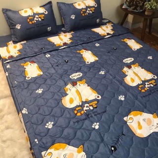 BỘ CHĂN GA 5 MÓN CAT XÁM