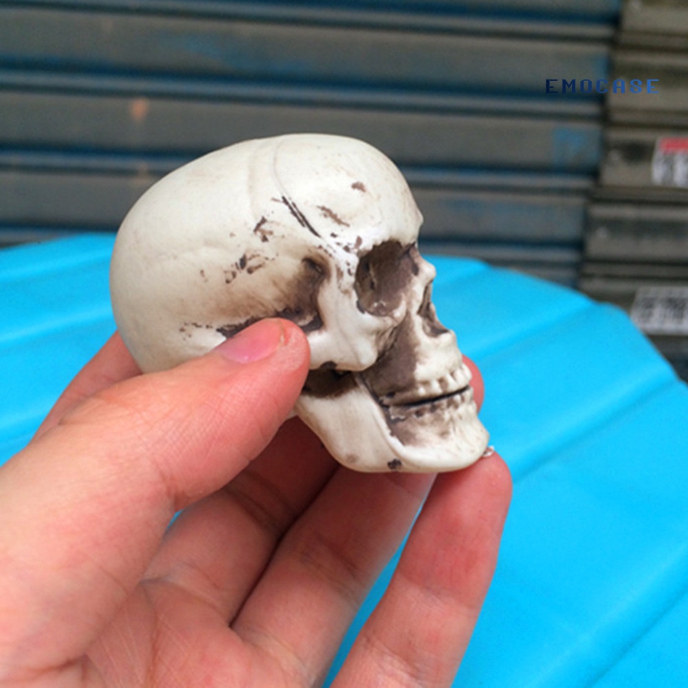 Đầu Lâu Nhựa Mini 5cm Trang Trí Halloween