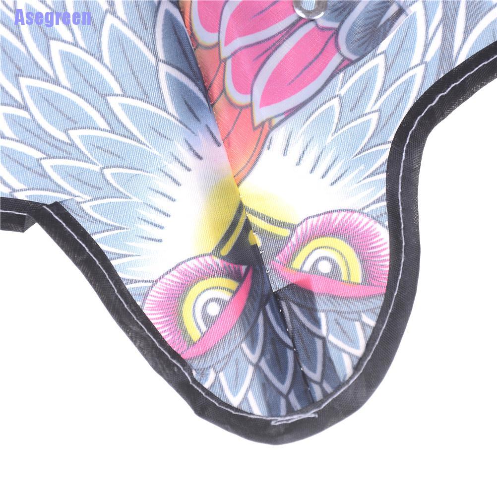 Chú Chim Đại Bàng Cỡ Lớn Độc Đáo