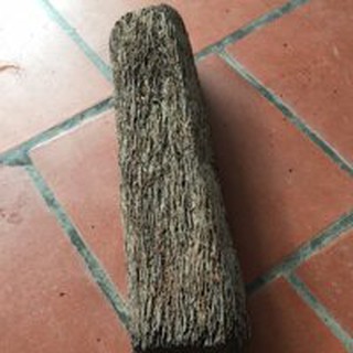 DỚN TRỤ TRỒNG LAN
