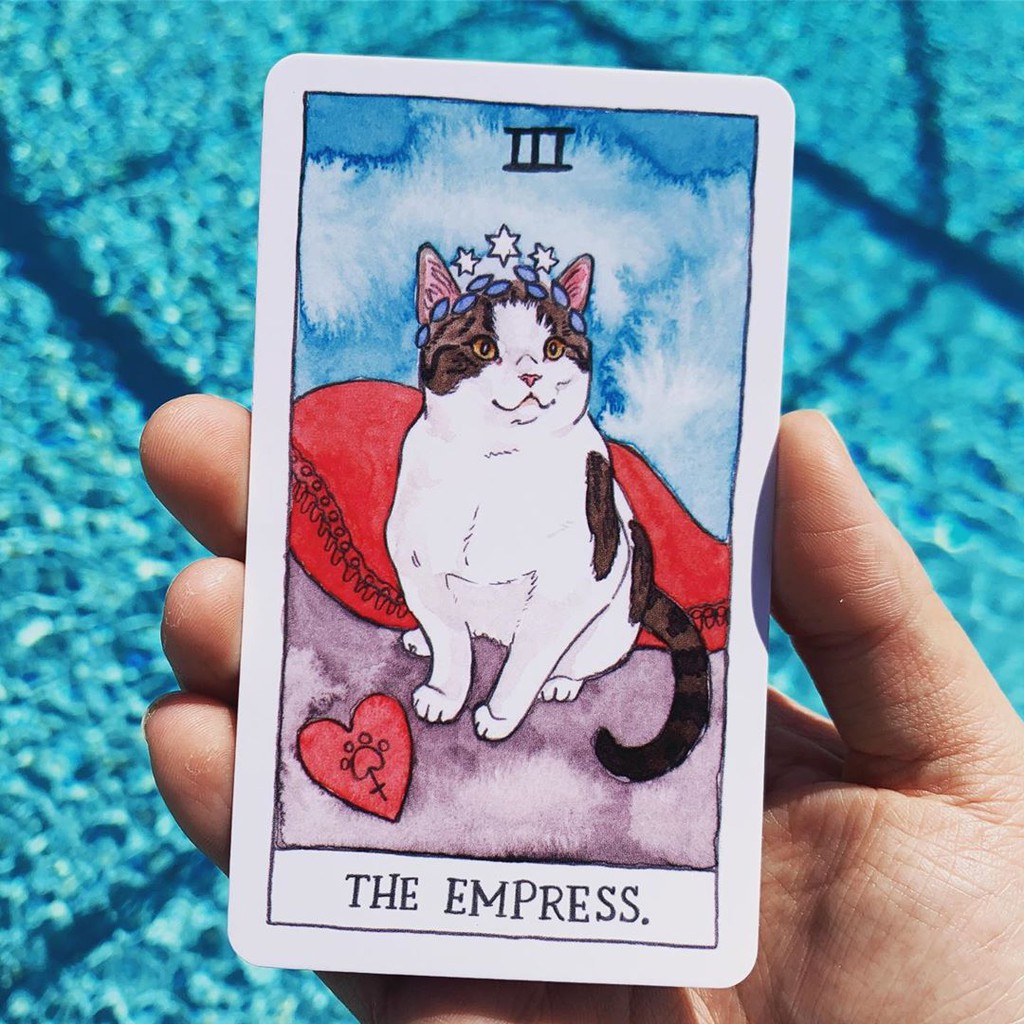 Bộ Bài Cat Tarot (Mystic House Tarot Shop)