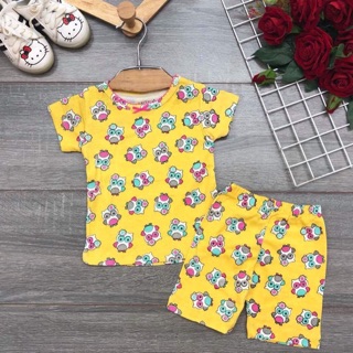 Sét 3-6 bộ carter bozip xuất xịn