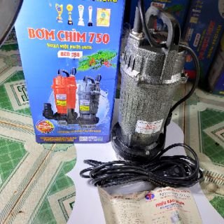 Bơm chìm 750W Điện cơ.