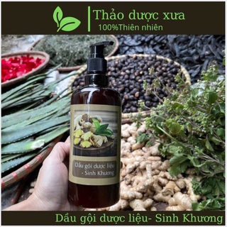 Dàu gội gừng Dầu gội dược liệu Sinh Khương