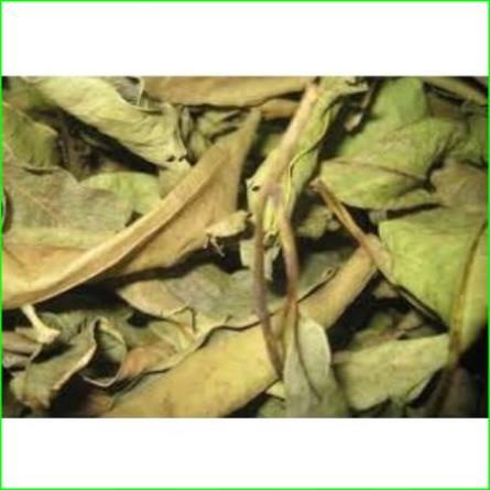 Lá vối khô 1kg hàng loại 1