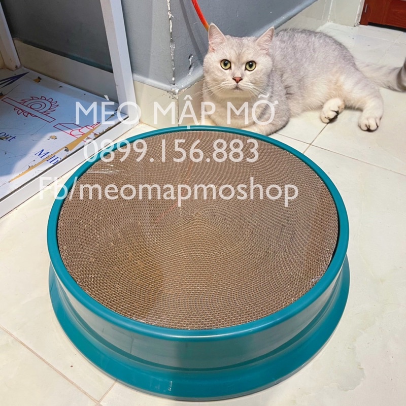 BÀN CÀO MÓNG ĐỒ CHƠI CHO MÈO