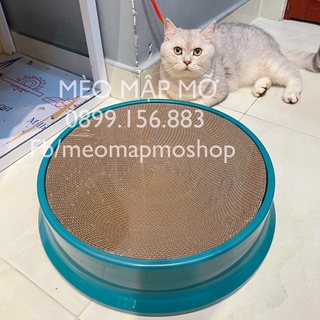 Bàn cào móng đồ chơi cho mèo