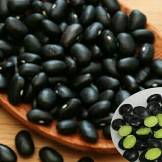 Đậu đen xanh lồng nhà trồng