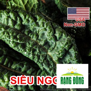 700h Hạt Giống Cải Xoăn Kale SIÊU NGON Thủ Tướng Premier (B2.403 | C47)  LUYKYSEEDVN