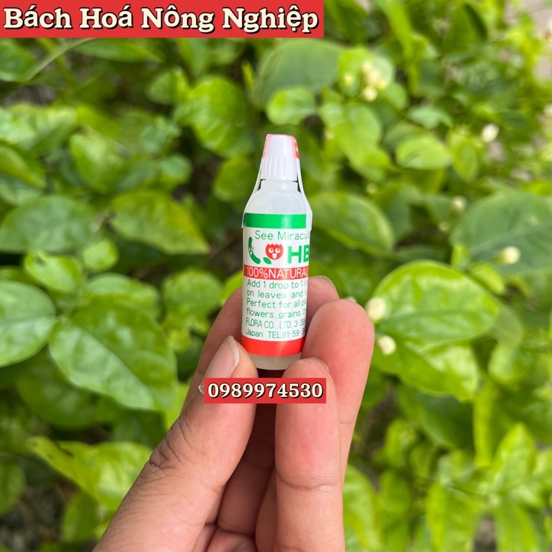 HB 101 Nhật Bản , Phục Hồi Cây Suy Yếu