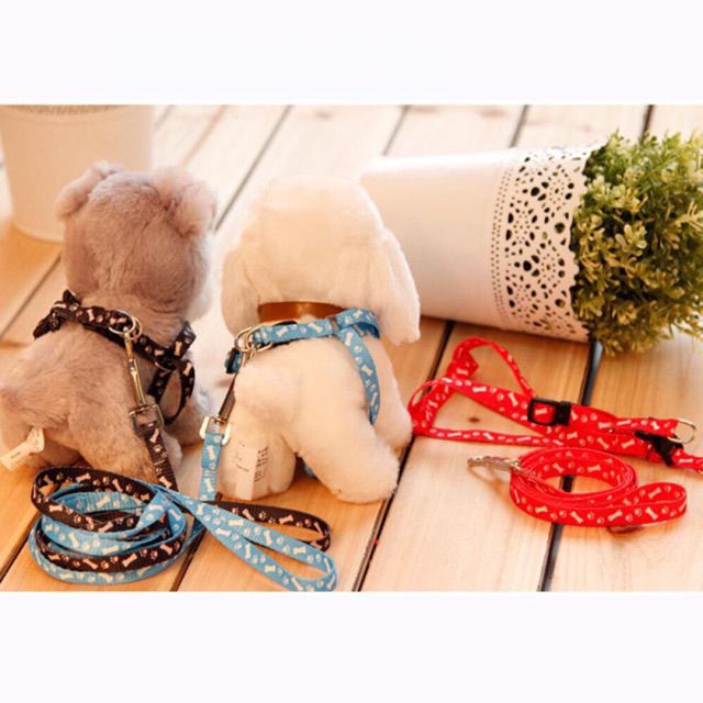 Dây Dắt Cho Chó Mèo - Dây Dắt Giá Rẻ Cho Chó Mèo Kích Thước Nhỏ,LupetVN