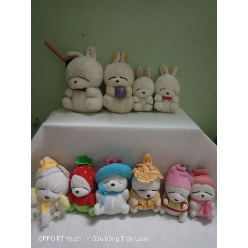 Gấu bông mắt hí