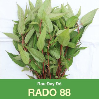 Hạt giống Rau đay đỏ 88 (10gr)