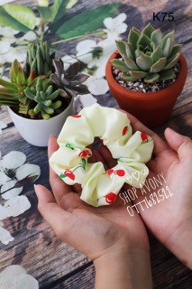Cột tóc vải scrunchies in hình trái cây