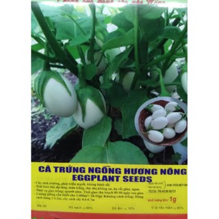 HẠT CÀ TRỨNG NGỖNG - GÓI 1 GRAM