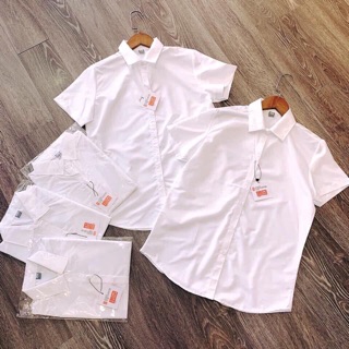 Combo 2c sơ mi nữ