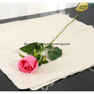 Hoa hồng phụ kiện chụp ảnh