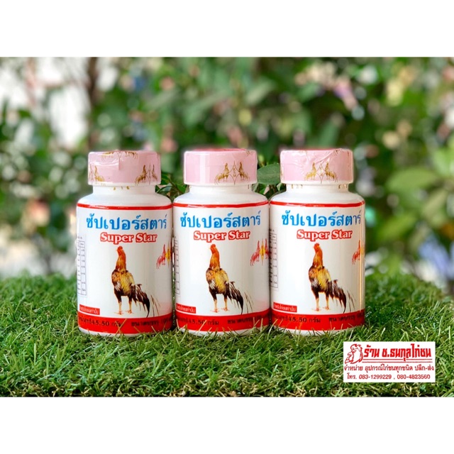 Phục hồi cơ gân cho gà chọi gà tre