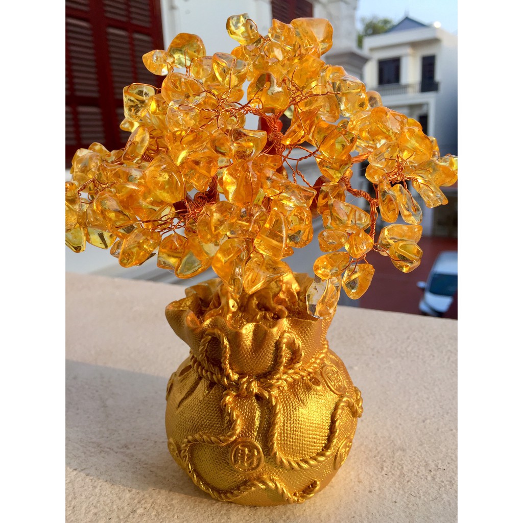 Cây tài lộc đá thạch anh đế vàng trang trí ngày tết phát lộc cây kim tiền
