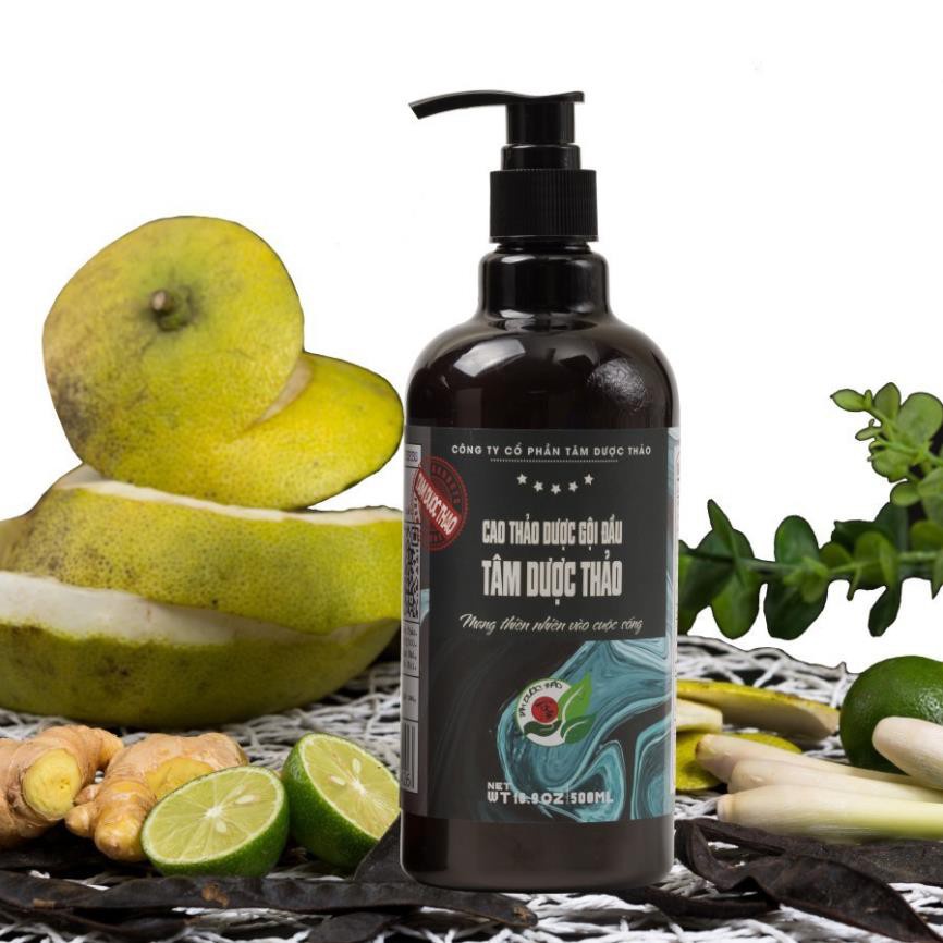Cao thảo dược gội đầu Tâm Dược Thảo 500ml (Dòng hiện đại tiện lợi) 100% tự nhiên kích thích mọc tóc, chống rụng tóc
