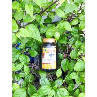 Sốt Nướng Koca 1kg