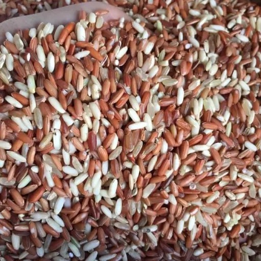 Gạo lứt dẻo Điện Biên các loại LinFood