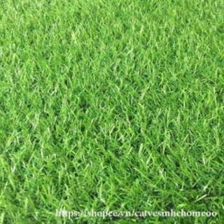 [ 1M x 0,5M ] tấm cỏ nhựa nhân tạo 2cm