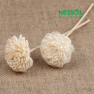 Một bộ 2 que & 2 hoa khuếch tán tinh dầu, dùng để cắm vào các lọ tinh dầu nước hoa khuếch tán.