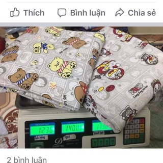 Vải nhot chip