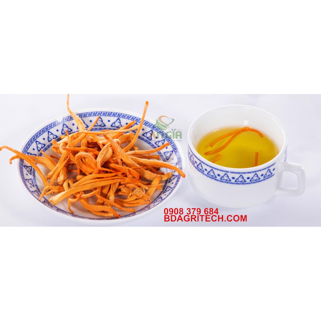 [NÓI KHÔNG VỚI HÀNG NHÁI TQ] ĐÔNG TRÙNG HẠ THẢO SẤY THĂNG HOA CAO CẤP BDAGRI [ HỘP 10G LOẠI I] | BigBuy360 - bigbuy360.vn