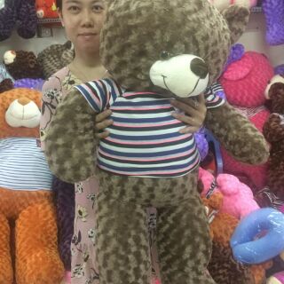 Gấu Teddy 1m2