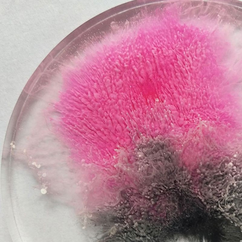 Lọ màu sắc trang trí vẽ màu cho epoxy uv resin làm trang sức