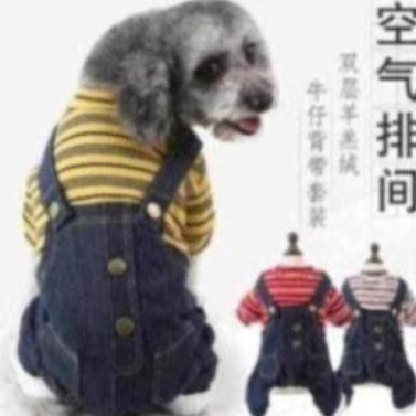 Áo cho cún yêu vip dth94