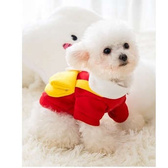 Trang phục cho thú cưng - áo nỉ cà rốt có khăn choàng cổ thời trang cho thú cưng