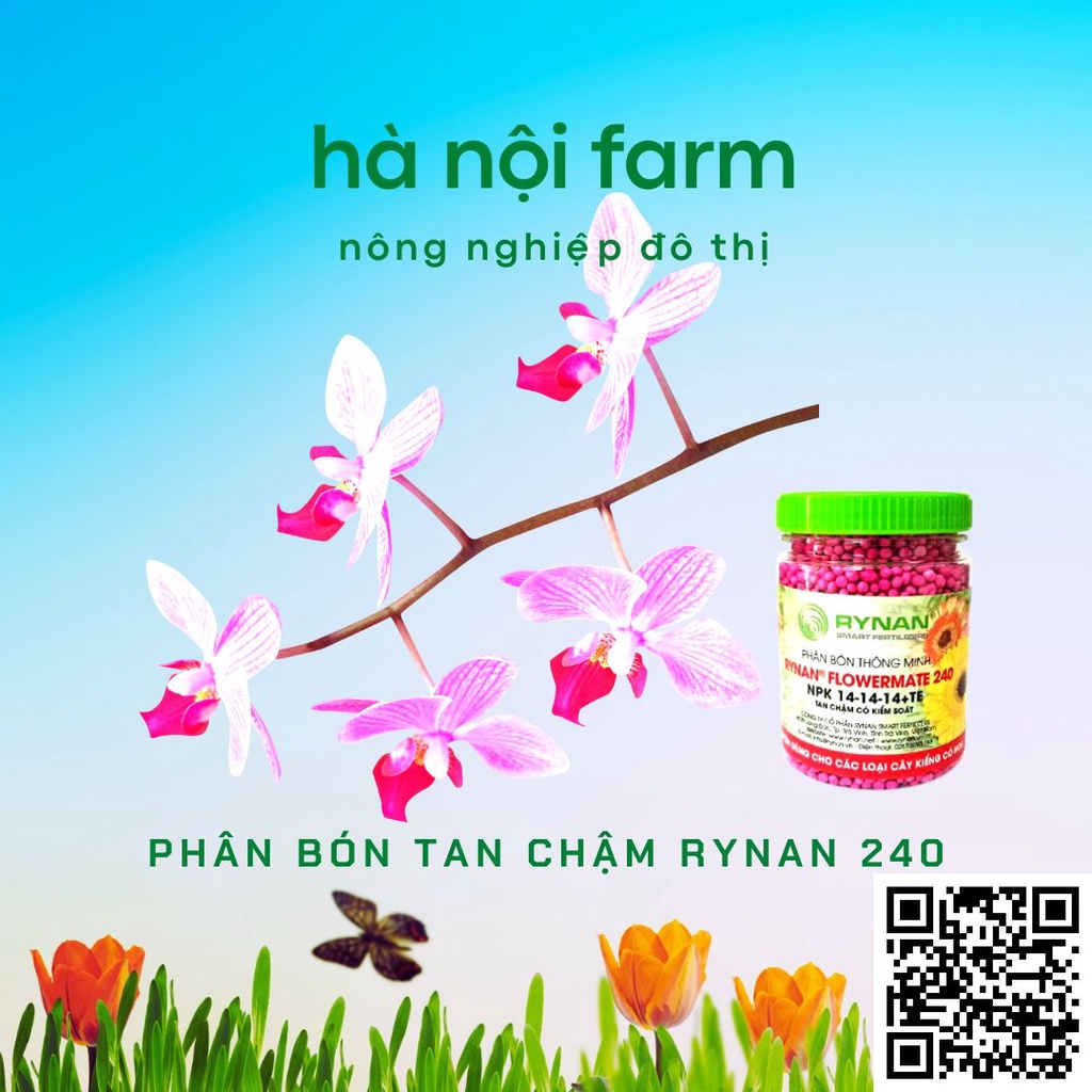 Phân bón thông minh, tan chậm rynan 240. hũ 150g