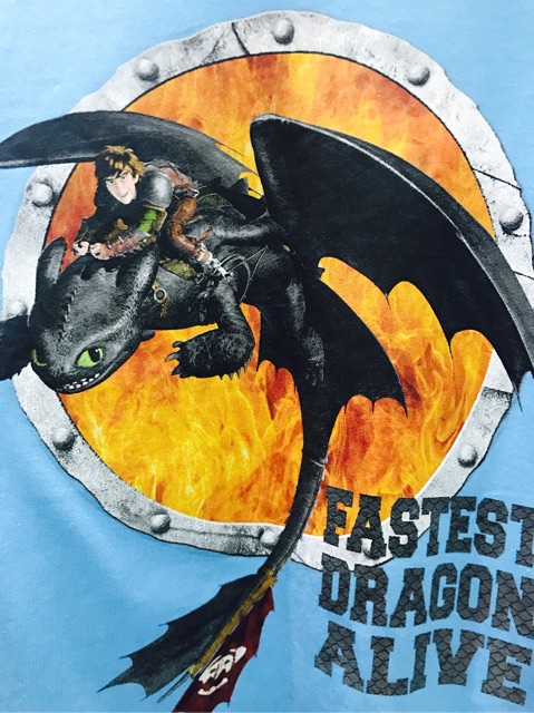 Áo Bí kíp luyện rồng- How to train your Dragon- xách tay Pháp auth cotton 100%