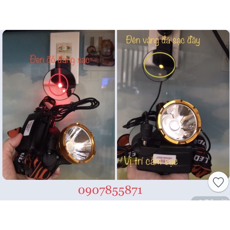 😍 Đèn pin LED, đèn đội đầu T017 chính hãng Mayor Wolf | BigBuy360 - bigbuy360.vn