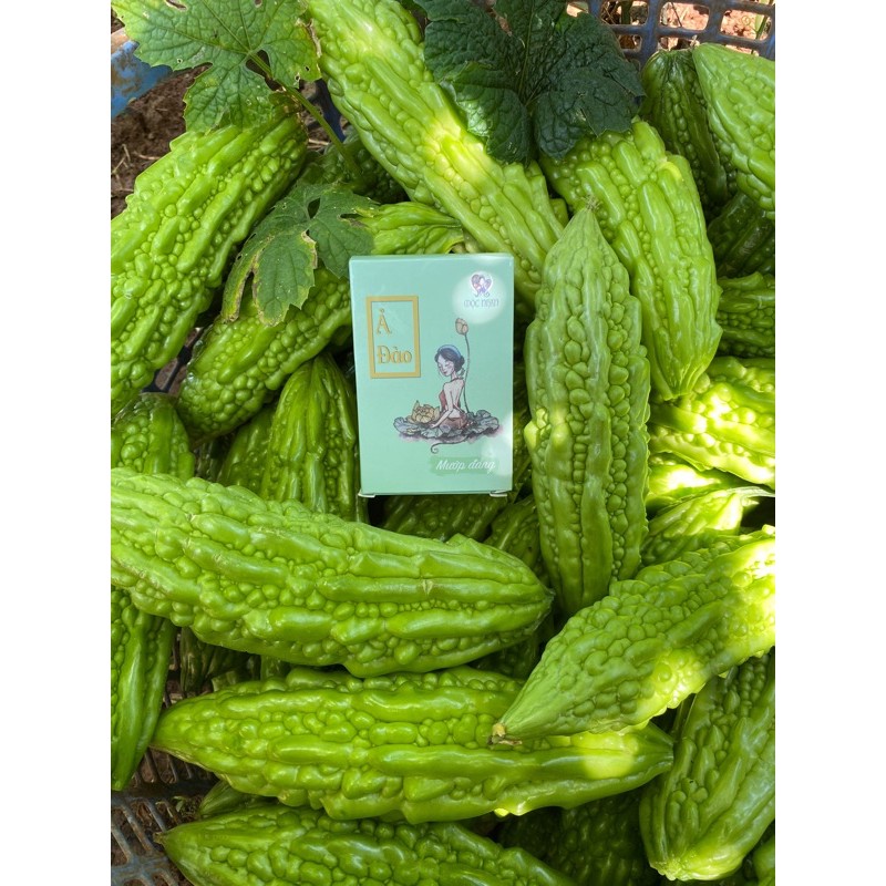 Xà Phòng Thiên Nhiên Từ Mướp Đắng | BigBuy360 - bigbuy360.vn