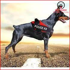 Dây đai người huấn luyện Police K9 chó chó từ 15-60kg