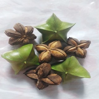 Dinh dưỡng từ thiên nhiên - Quỳnh Mai