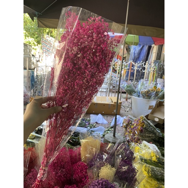HOA BABY KHÔ ĐÃ ÉP KHÔ 200gram deco trang trí