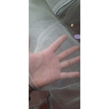 Tráng vèo lưới ươm ốc nhồi mới nở - 2x1x1