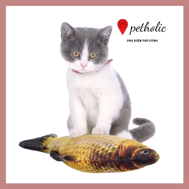 Cá Chép Nhồi Bông 3D Hương Catnip Cho Chó Mèo Petholic size 18cm
