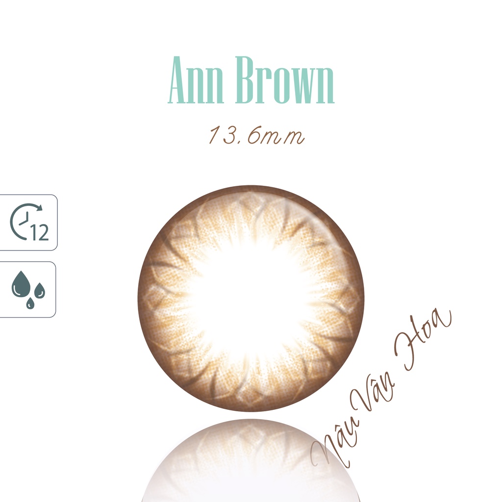 [𝟭 𝗖𝗔̣̆𝗣] Lens 1 Ngày ANN365 Màu Nâu Đậm Ann Brown Giãn Tròng Cho Mắt Cận Loạn