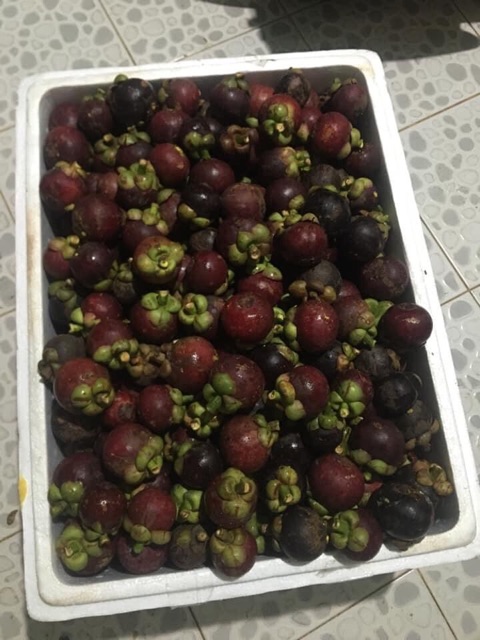 Sỉ 5kg Măng Cụt Long Khánh Đồng Nai