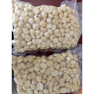 500gr Nhân Macca Lâm Đồng Cao Cấp - Đã sấy