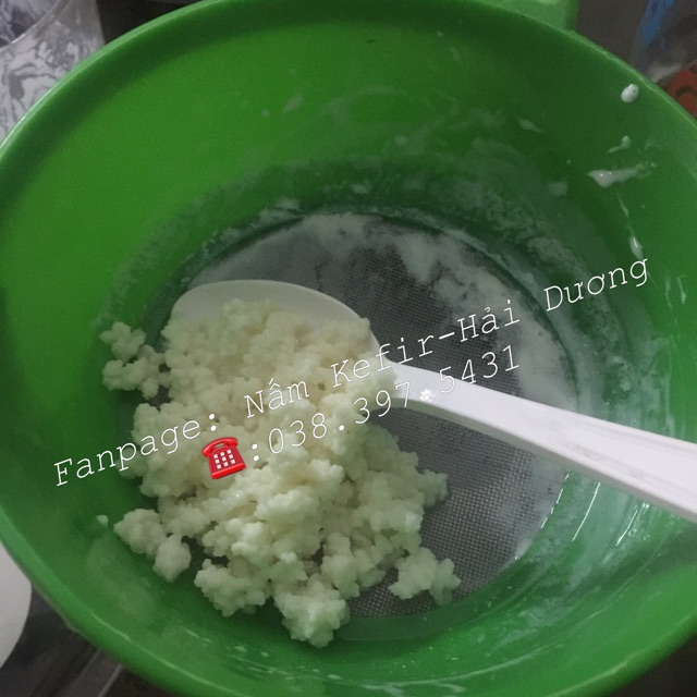 Nấm kefir làm sữa chua