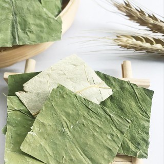 Lá Sen Sấy Lạnh - 500gr